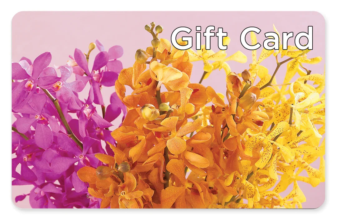 Gift Card – Rosasxyasmin, Phoenix AZ