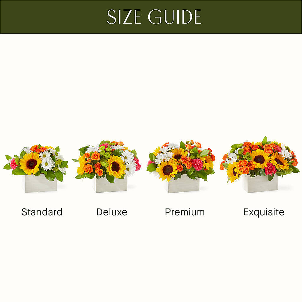 Sun-drenched Blooms Box Bouquet – Rosasxyasmin, Peoria AZ