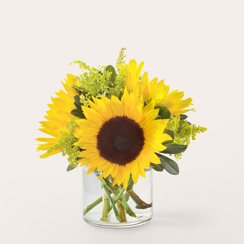 Beaming Sunflower Bouquet – Rosasxyasmin, Phoenix AZ