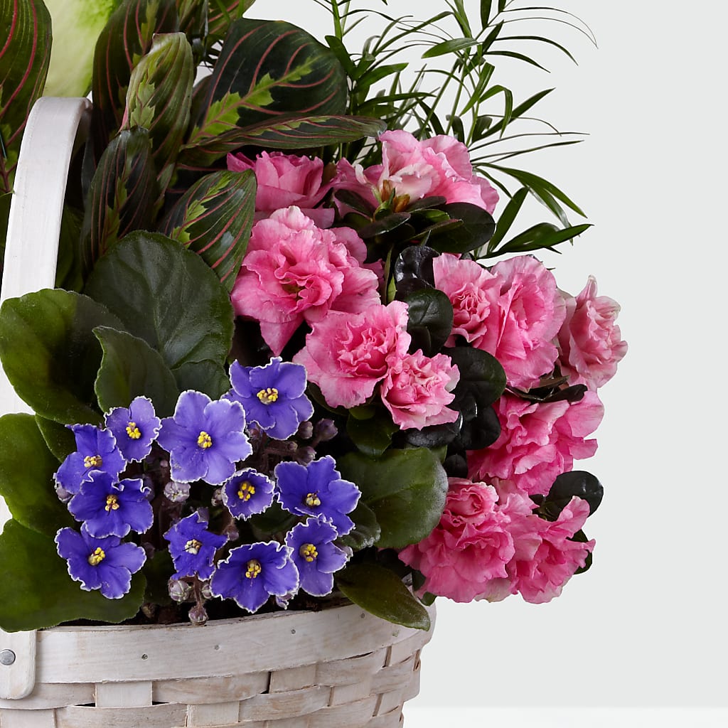 Peaceful Garden Planter – Rosasxyasmin, Peoria AZ
