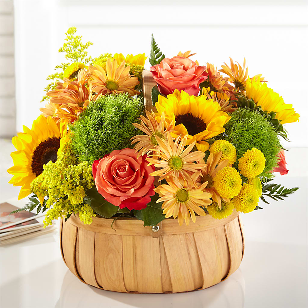 Harvest Sunflower Basket – Rosasxyasmin, Phoenix AZ