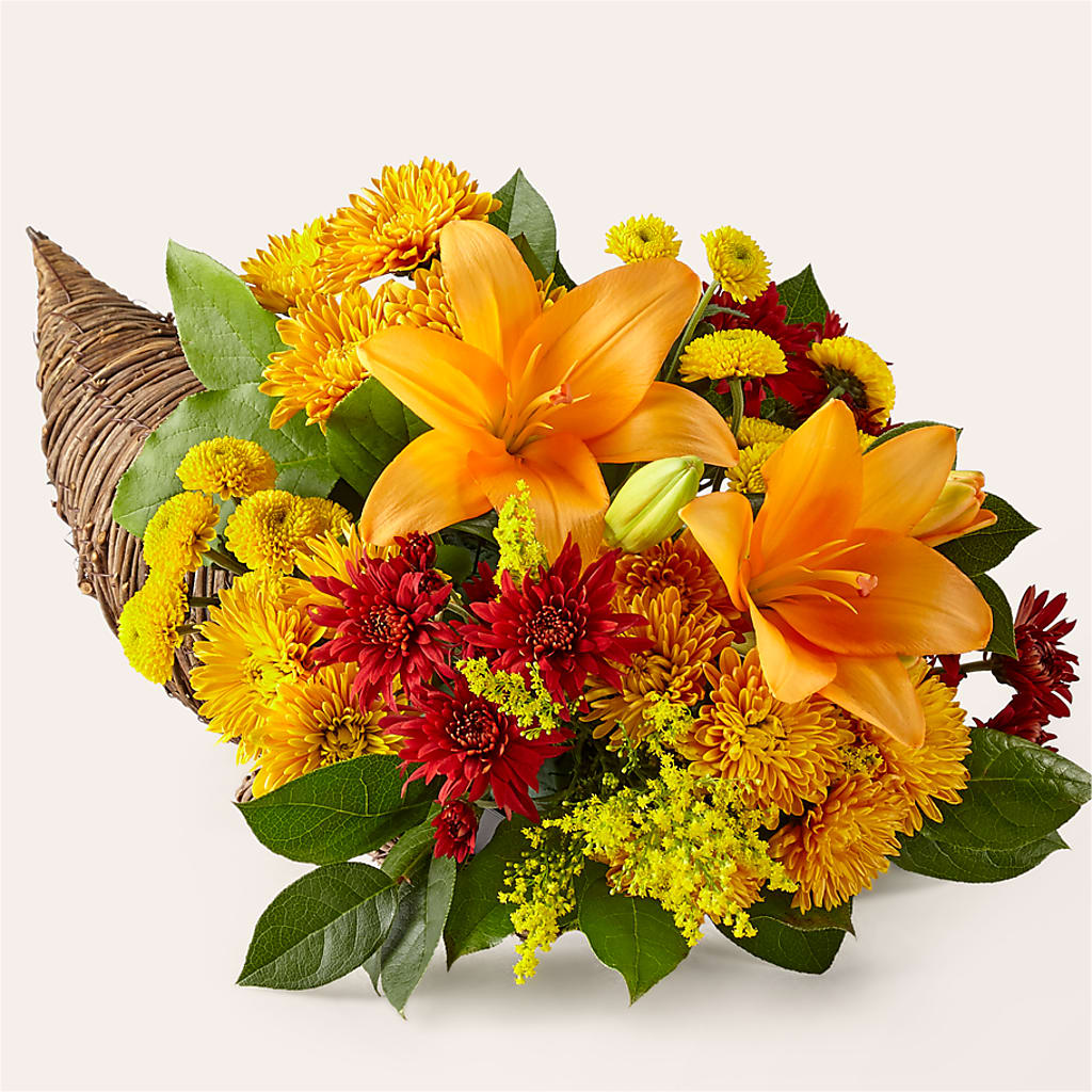 Feast of Color Cornucopia – Rosasxyasmin, Phoenix AZ