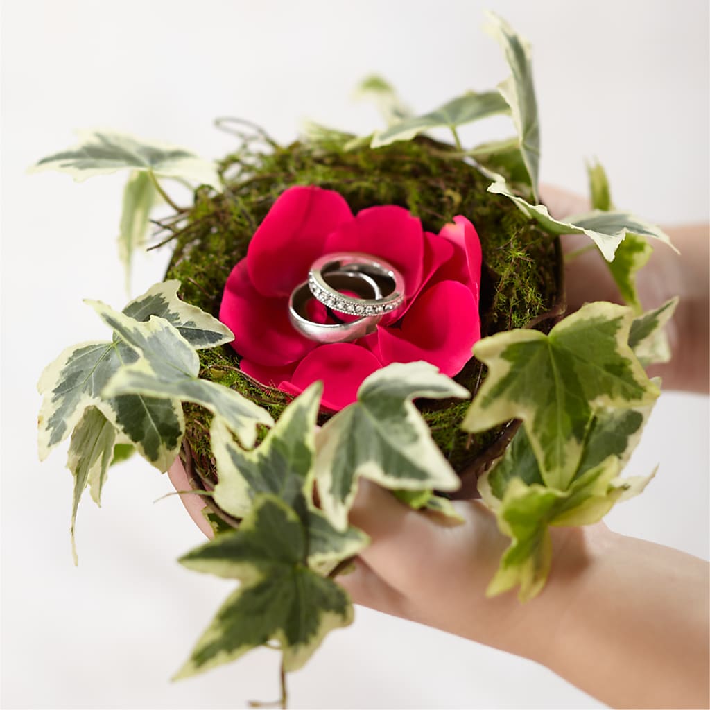 Lila Rose Ring Nest – Rosasxyasmin, Phoenix AZ