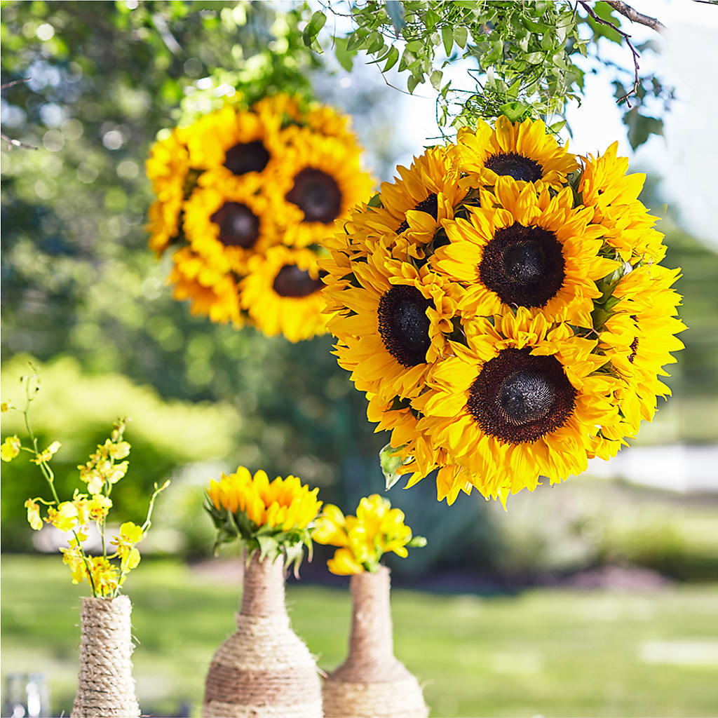 Sublime Garden Hanging Arrangement – Rosasxyasmin, Phoenix AZ