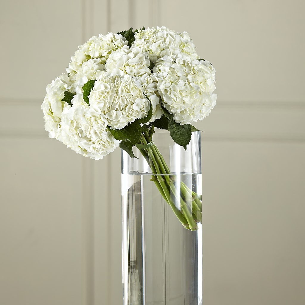 White Hydrangea Hand-Tied Bouquet – Rosasxyasmin, Phoenix AZ