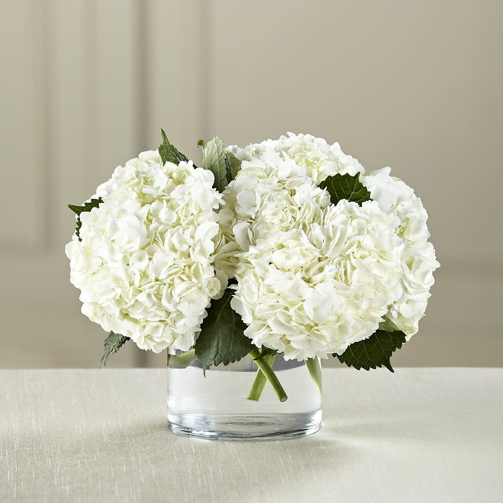 White Hydrangea Bouquet – Rosasxyasmin, Phoenix AZ