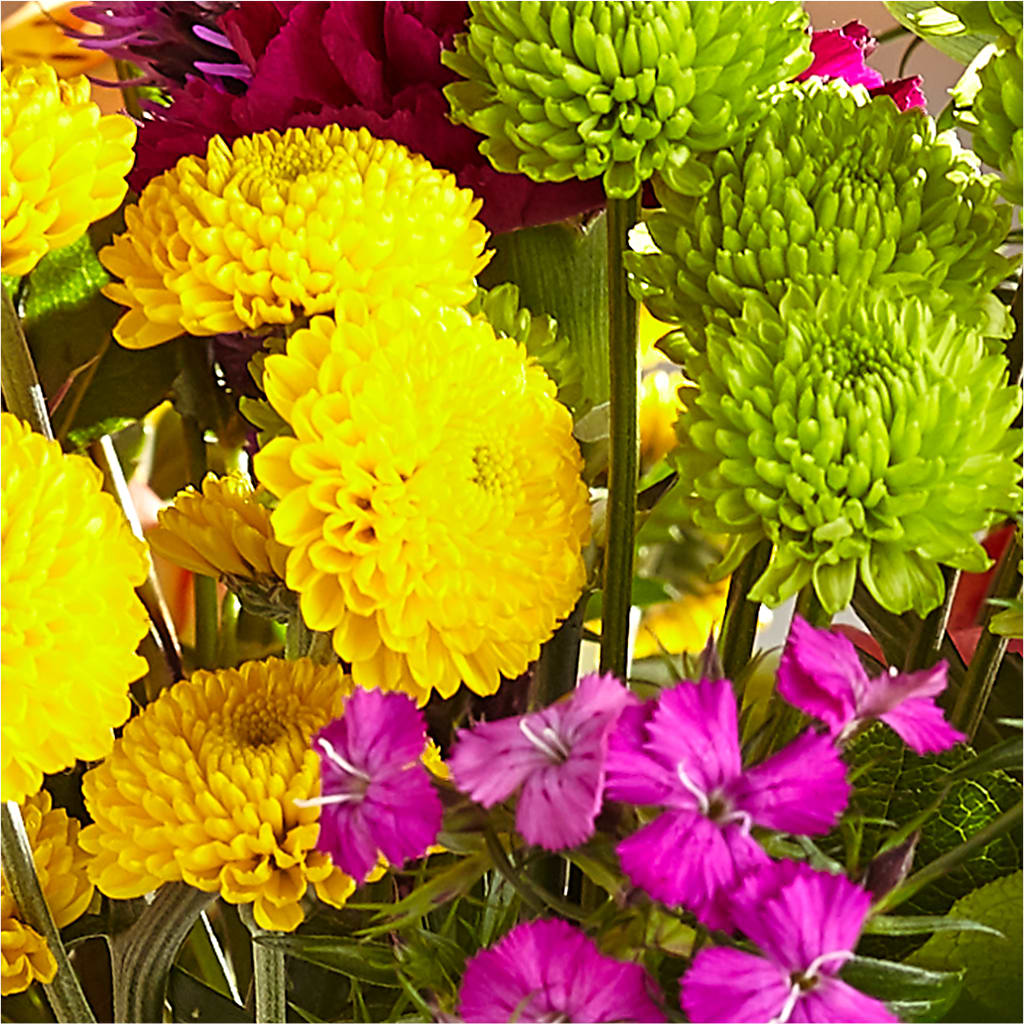 Bold & Bright – A Florist Original –  Rosasxyasmin, Peoria AZ