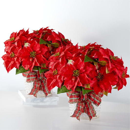 Happiest Holidays Poinsettia Bundle –  Rosasxyasmin, Phoenix AZ