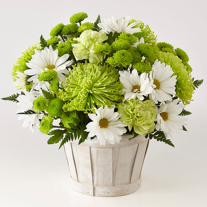 Lucky Charm Basket (Standard) –  Rosasxyasmin, Phoenix AZ
