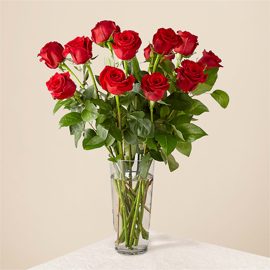 Long Stem Red Rose Bouquet –  Rosasxyasmin, Peoria AZ