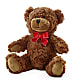 Adorable Plush Bear –  Rosasxyasmin, Phoenix AZ