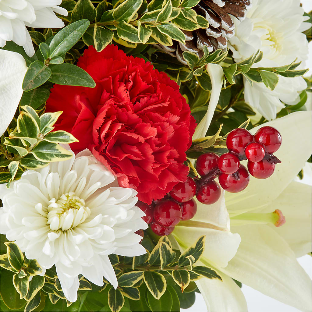 Festive Moments Tree –  Rosasxyasmin, Peoria AZ