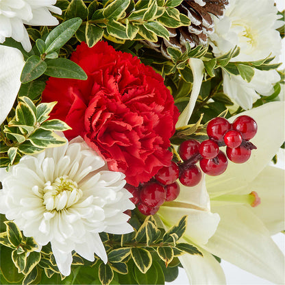 Festive Moments Tree –  Rosasxyasmin, Peoria AZ