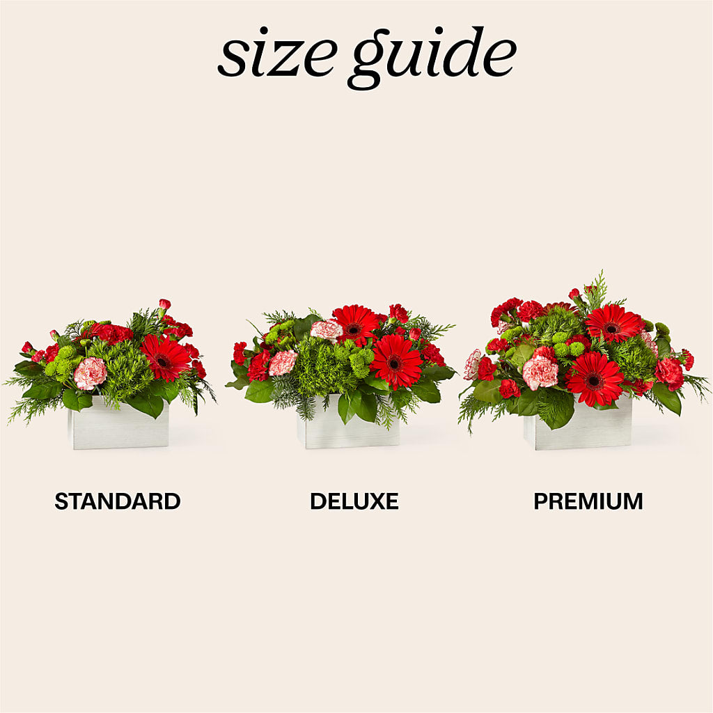 The Rudolph Bouquet –  Rosasxyasmin, Peoria AZ