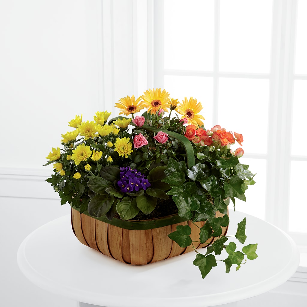 Gentle Blossoms Basket –  Rosasxyasmin, Phoenix AZ