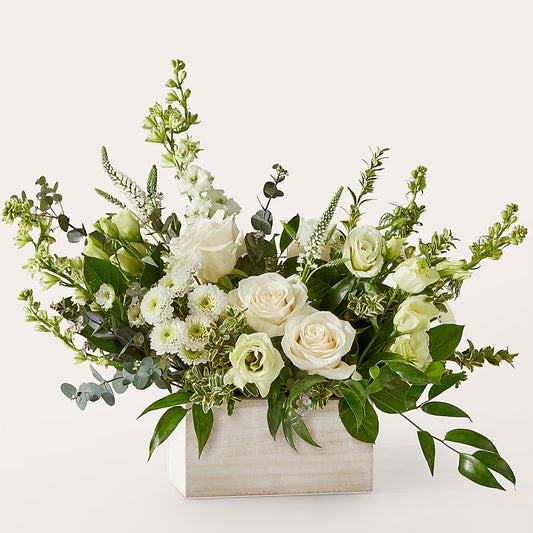 Cashmere Bouquet –  Rosasxyasmin, Peoria AZ
