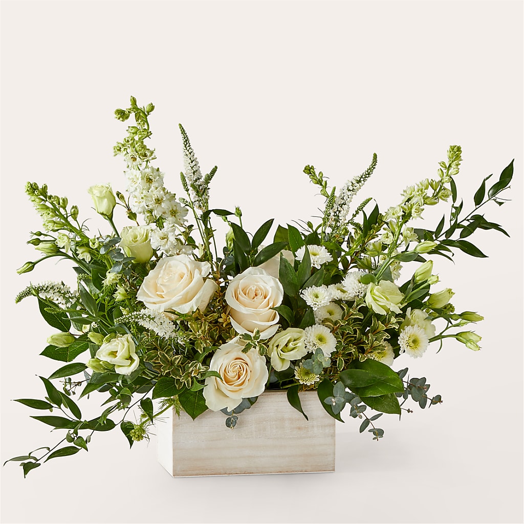 Cashmere Bouquet –  Rosasxyasmin, Peoria AZ