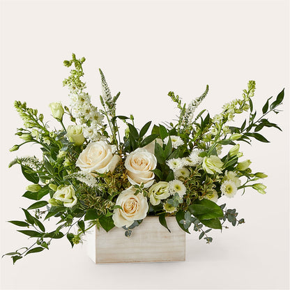 Cashmere Bouquet –  Rosasxyasmin, Peoria AZ