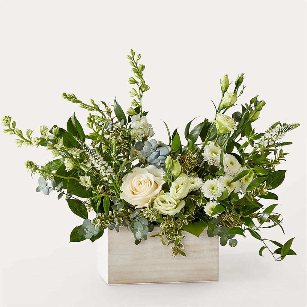 Cashmere Bouquet –  Rosasxyasmin, Peoria AZ