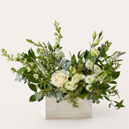 Cashmere Bouquet –  Rosasxyasmin, Peoria AZ