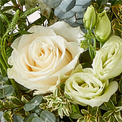 Cashmere Bouquet –  Rosasxyasmin, Peoria AZ