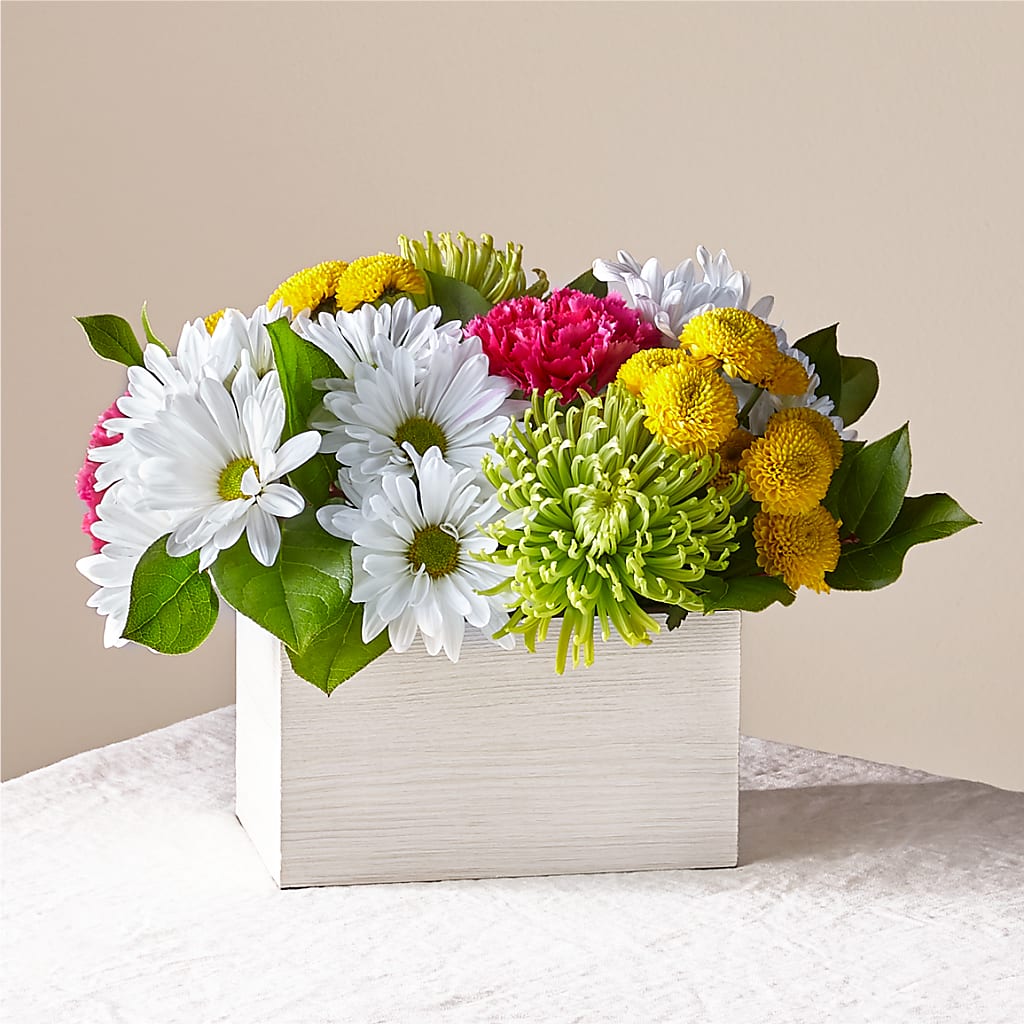Sorbet Bouquet –  Rosasxyasmin, Peoria AZ