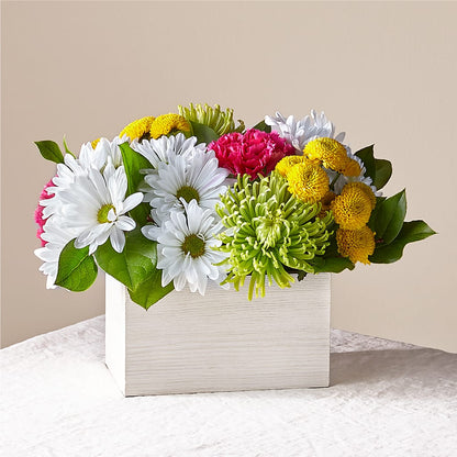 Sorbet Bouquet –  Rosasxyasmin, Peoria AZ