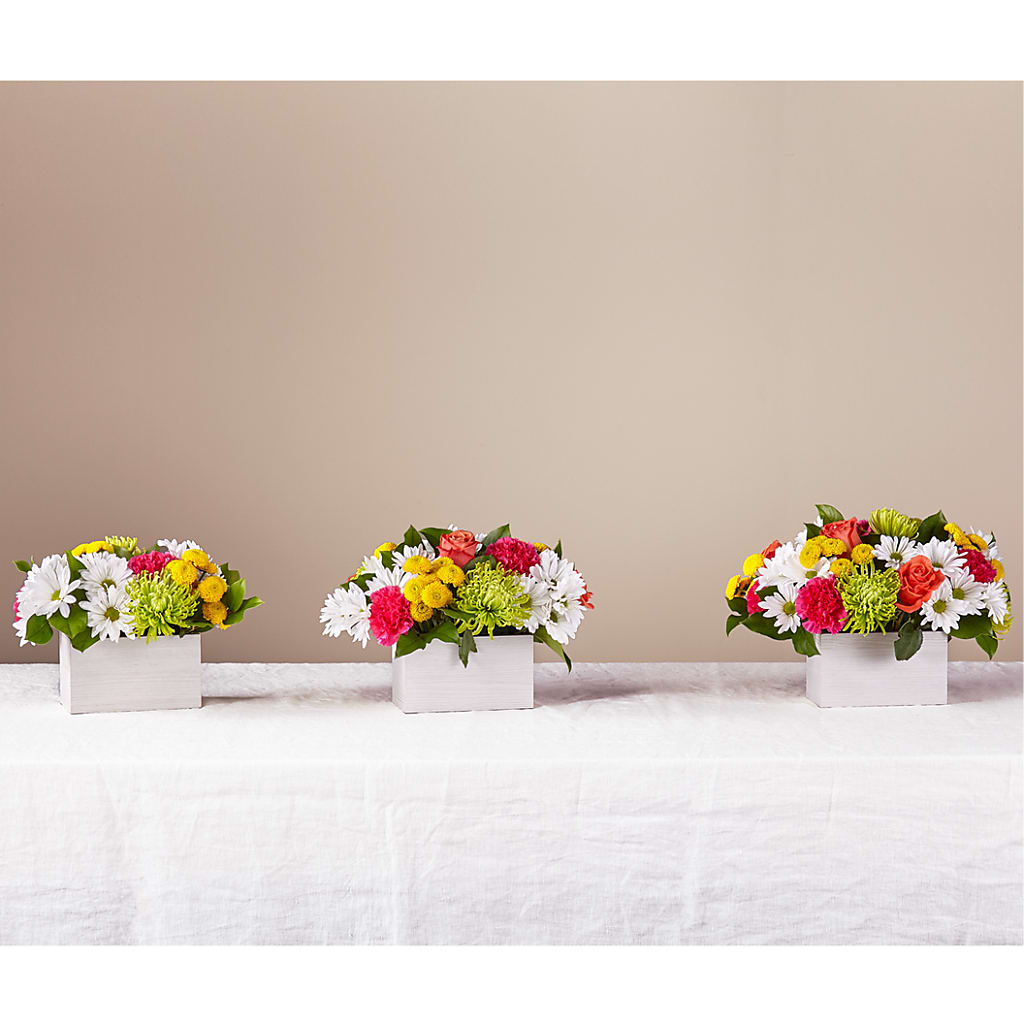 Sorbet Bouquet –  Rosasxyasmin, Peoria AZ