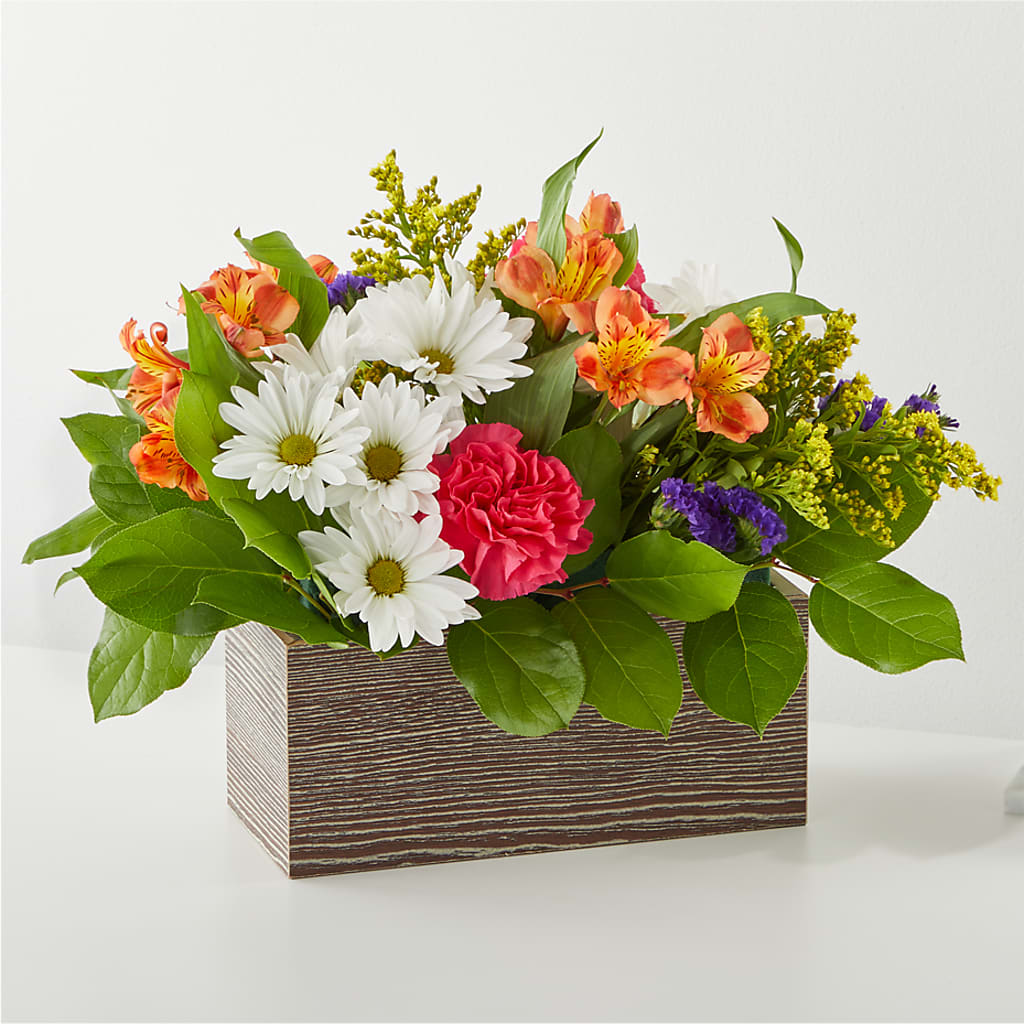 Oopsie Daisy Box Bouquet –  Rosasxyasmin, Peoria AZ