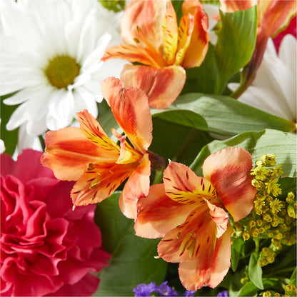Oopsie Daisy Box Bouquet –  Rosasxyasmin, Peoria AZ