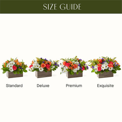 Oopsie Daisy Box Bouquet –  Rosasxyasmin, Peoria AZ
