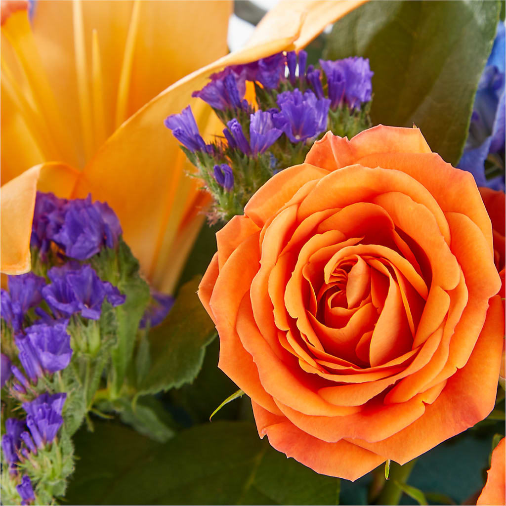 Radiant Citrus Box Bouquet –  Rosasxyasmin, Peoria AZ