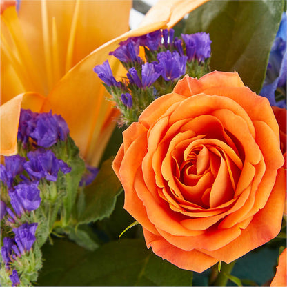 Radiant Citrus Box Bouquet –  Rosasxyasmin, Peoria AZ