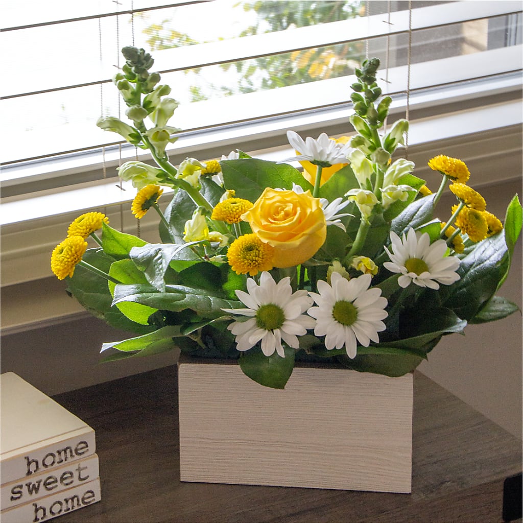 Sun Salutation Box Bouquet –  Rosasxyasmin, Peoria AZ