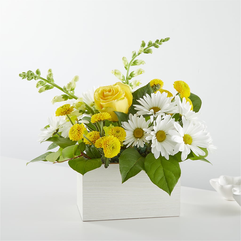 Sun Salutation Box Bouquet –  Rosasxyasmin, Phoenix AZ