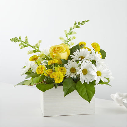 Sun Salutation Box Bouquet –  Rosasxyasmin, Phoenix AZ