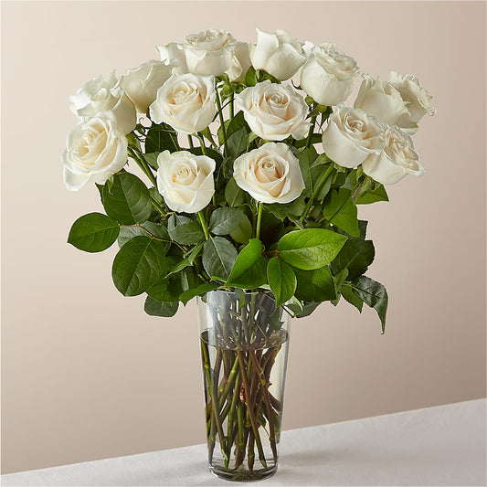 Long Stem White Rose Bouquet –  Rosasxyasmin, Peoria AZ