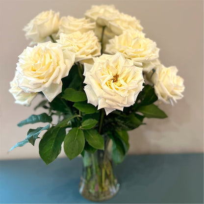 Long Stem Yellow Rose Bouquet –  Rosasxyasmin, Peoria AZ