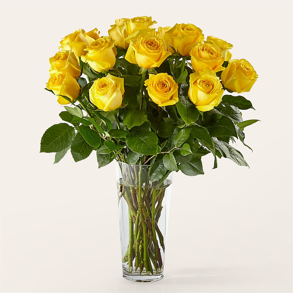 Long Stem Yellow Rose Bouquet –  Rosasxyasmin, Peoria AZ