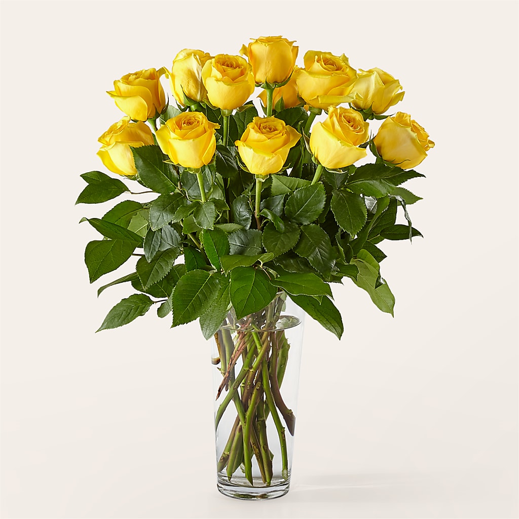 Long Stem Yellow Rose Bouquet –  Rosasxyasmin, Peoria AZ
