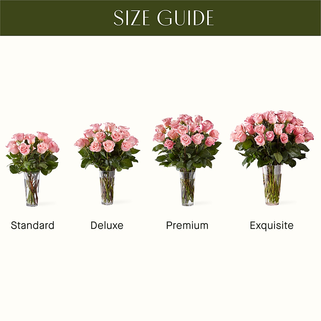 Long Stem Pink Rose Bouquet –  Rosasxyasmin, Peoria AZ