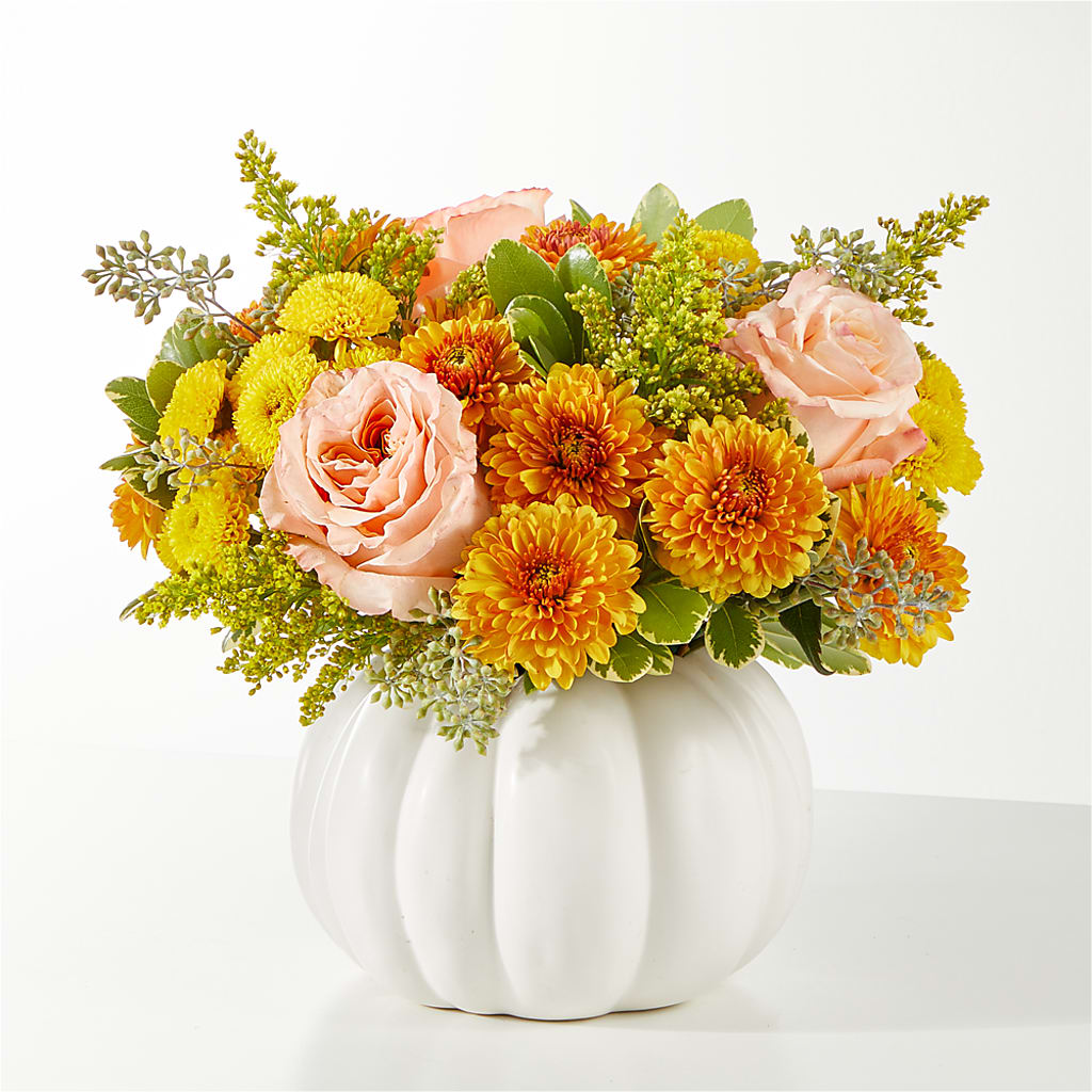 Peachy Pumpkin –  Rosasxyasmin, Phoenix AZ