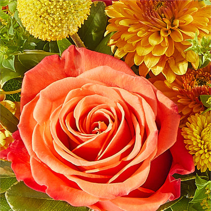 Gourdgeous Pumpkin –  Rosasxyasmin, Peoria AZ