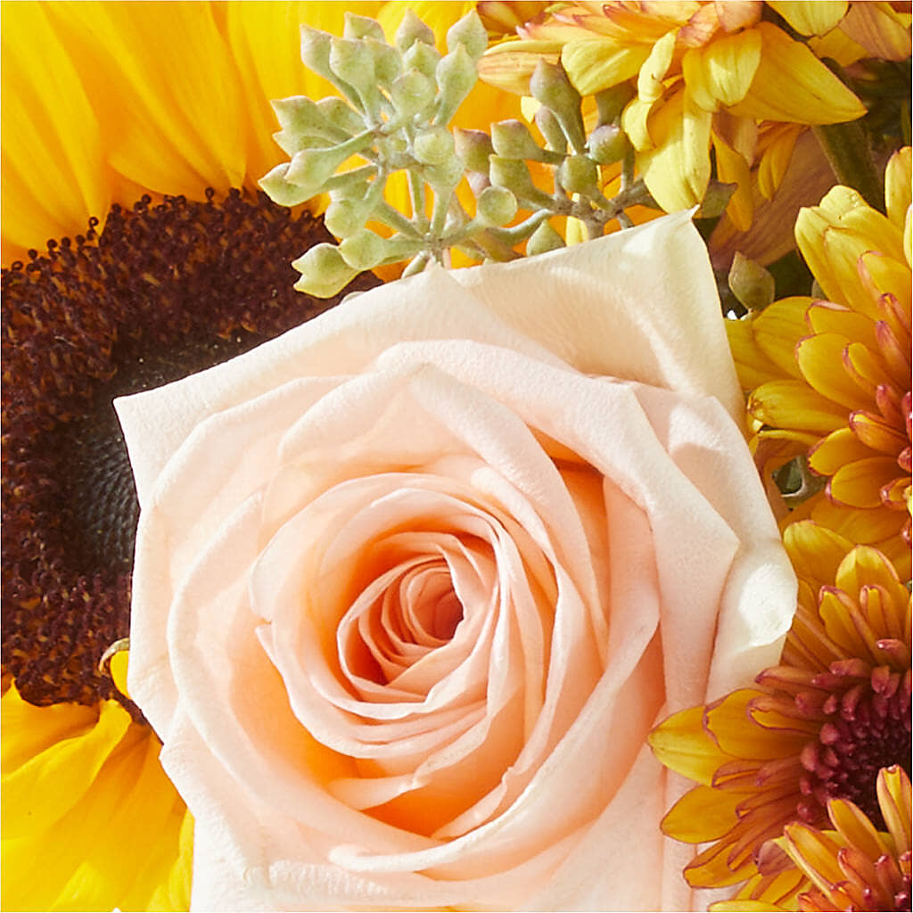 Pumpkin to Talk About Bouquet –  Rosasxyasmin, Peoria AZ