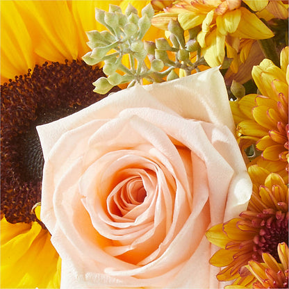 Pumpkin to Talk About Bouquet –  Rosasxyasmin, Peoria AZ
