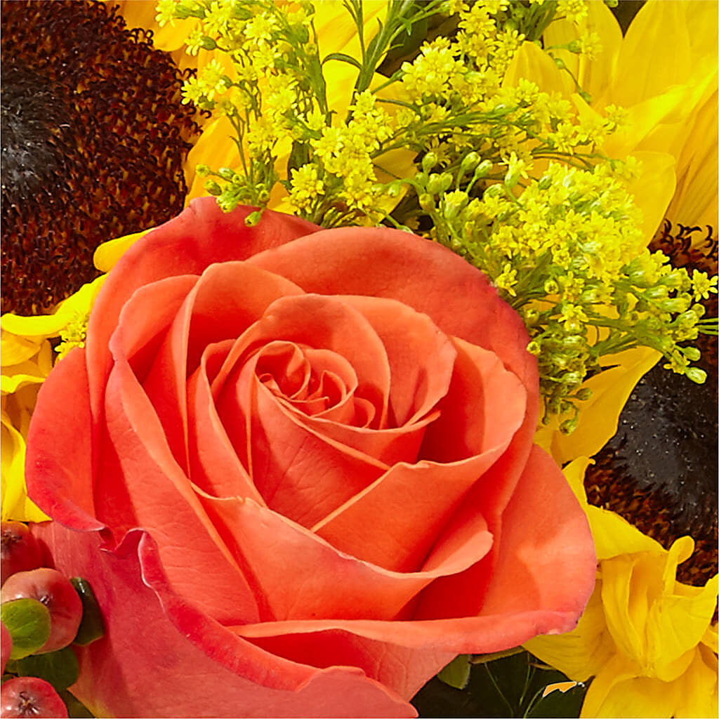 Pick of the Patch Pumpkin Bouquet –  Rosasxyasmin, Peoria AZ