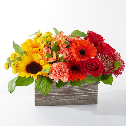Autumn Orchard Bouquet –  Rosasxyasmin, Phoenix AZ