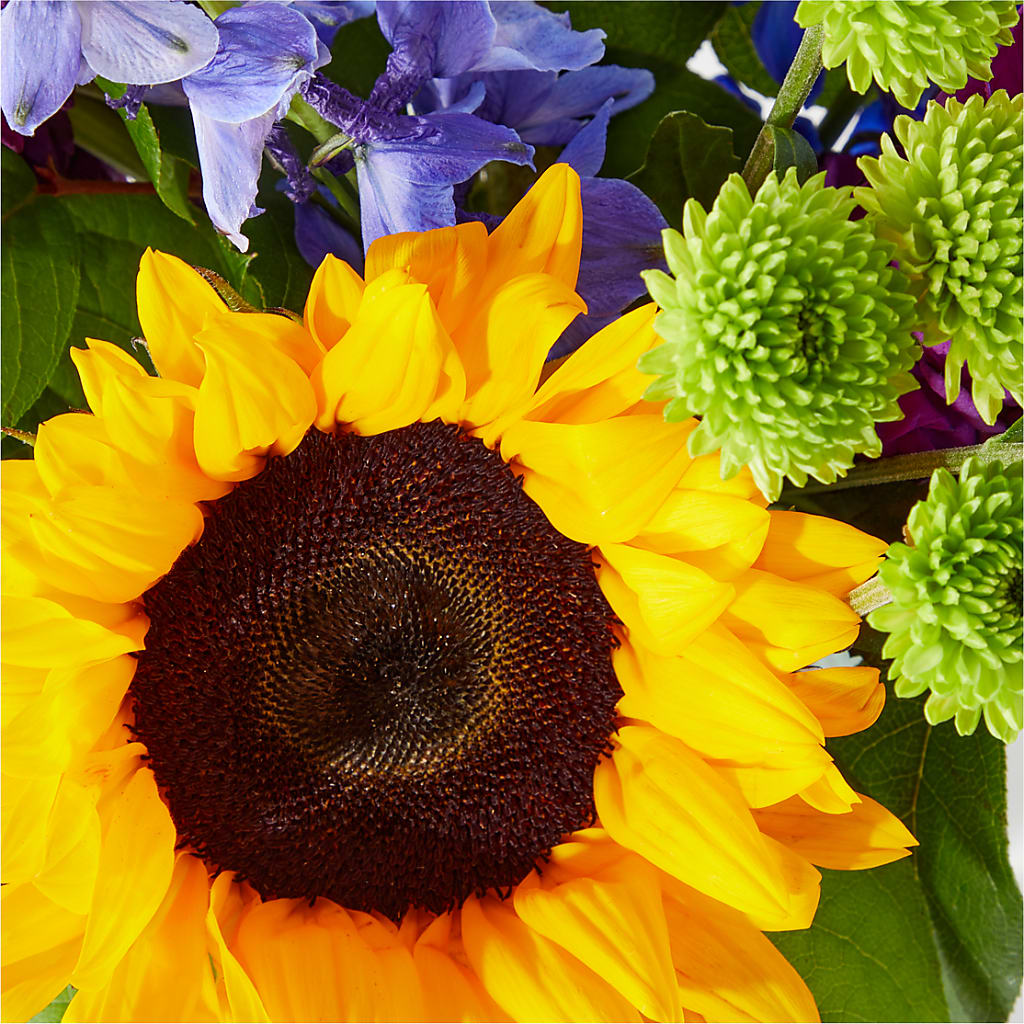 Catching Rays Bouquet –  Rosasxyasmin, Peoria AZ