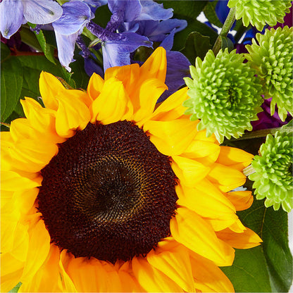Catching Rays Bouquet –  Rosasxyasmin, Peoria AZ