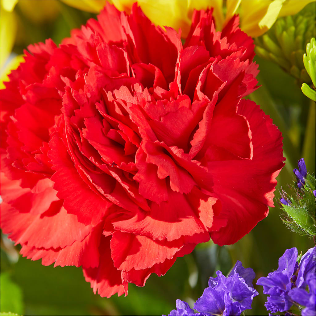 Brighter Days Bouquet –  Rosasxyasmin, Peoria AZ